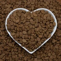 Barking Heads Golden Years Senior Dry Dog Food -Fuzzyard Shop I0037484 en 07