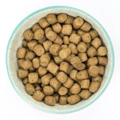 Burns Alert Assistance Adult/Senior Dry Dog Food - Chicken & Brown Rice -Fuzzyard Shop I0038237 en 03