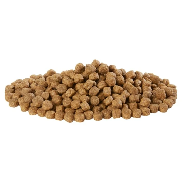 Harringtons Adult Dry Dog Food - Salmon & Potato 4 Harringtons Adult Dry Dog Food - Salmon & Potato - Image 2