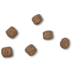 James Wellbeloved Gluten-free Adult Dry Dog Food - Lamb & Rice -Fuzzyard Shop I0042157 en 07