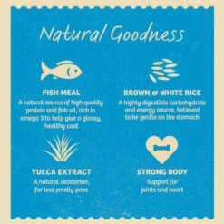 James Wellbeloved Large Adult Dry Dog Food - Fish & Rice -Fuzzyard Shop I0042161 en 06