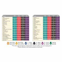 KONG Classic Chew Dog Toy - Red -Fuzzyard Shop I0042808 en 05