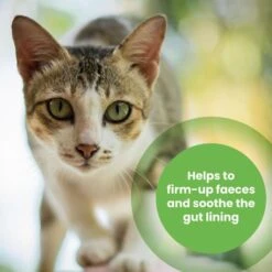 Protexin Pro-Kolin Probiotic And Prebiotic Paste For Dogs And Cats -Fuzzyard Shop I0044873 en 02