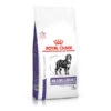 Royal Canin Veterinary Health Nutrition Mature Consult Large Dog Dry Pet Food For Dog -Fuzzyard Shop I0045330