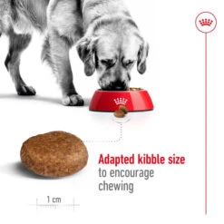 Royal Canin Maxi Adult 5+ Mature Dog Dry Food -Fuzzyard Shop I0045433 en 03