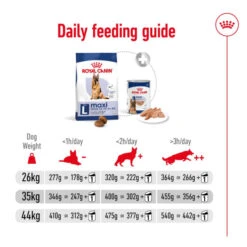 Royal Canin Maxi Adult 5+ Mature Dog Dry Food