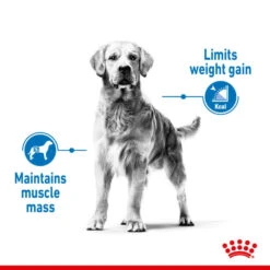 Royal Canin Maxi Light Weight Care -Fuzzyard Shop I0045440 en 03