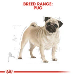 Royal Canin Pug Adult Dog Dry Food -Fuzzyard Shop I0045484 en 04