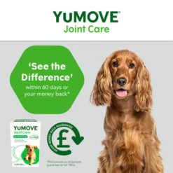 YuMOVE Joint Care Adult Dog Tablets -Fuzzyard Shop I0047774 en 12