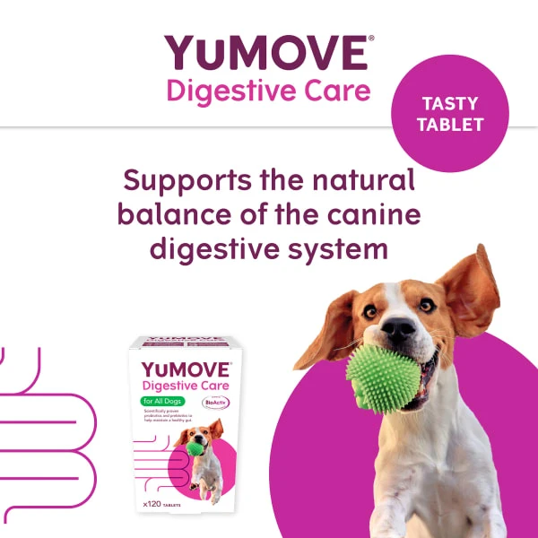 YuMOVE Digestive Care Dog Supplement Tablets 10 YuMOVE Digestive Care Dog Supplement Tablets - Image 8