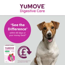 YuMOVE Digestive Care Dog Supplement Tablets 19 YuMOVE Digestive Care Dog Supplement Tablets -Fuzzyard Shop I0047777 en 07