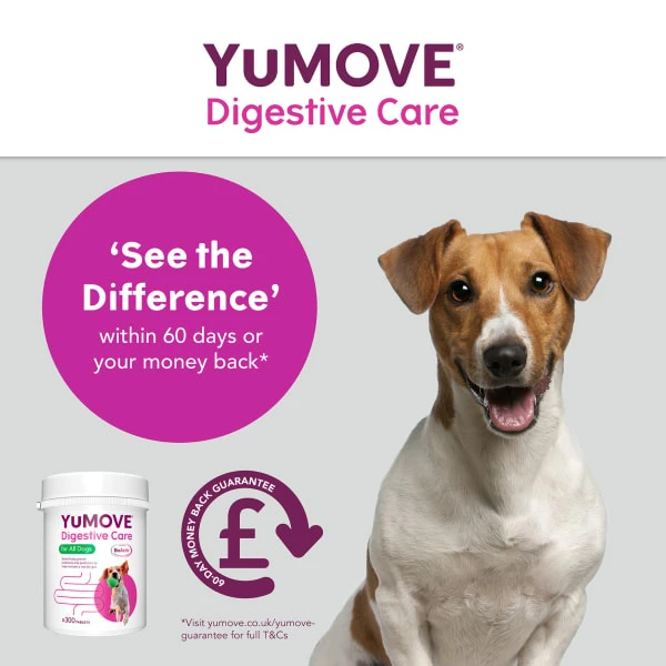 YuMOVE Digestive Care Dog Supplement Tablets 4 YuMOVE Digestive Care Dog Supplement Tablets - Image 2