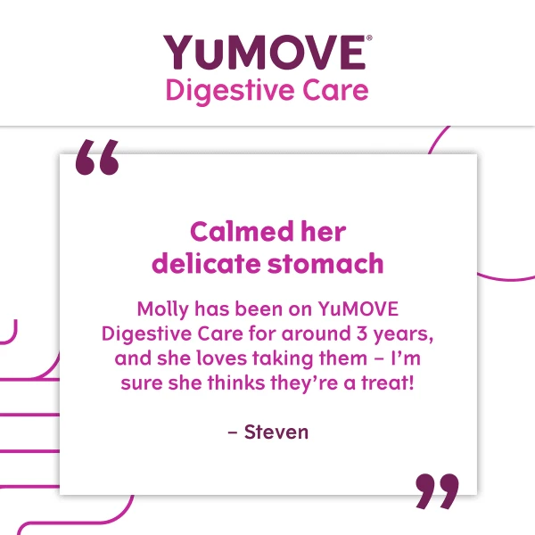YuMOVE Digestive Care Dog Supplement Tablets 11 YuMOVE Digestive Care Dog Supplement Tablets - Image 9