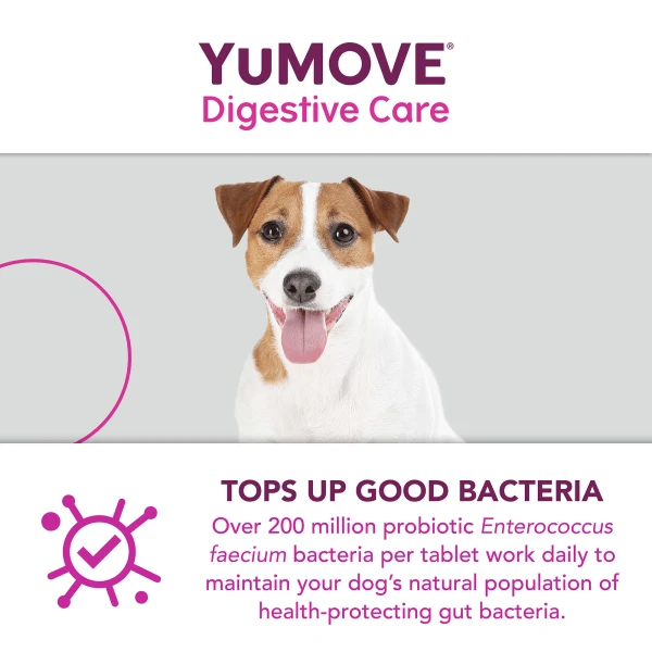 YuMOVE Digestive Care Dog Supplement Tablets 8 YuMOVE Digestive Care Dog Supplement Tablets - Image 6