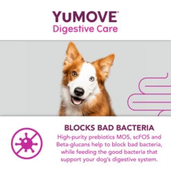 YuMOVE Digestive Care Dog Supplement Tablets 21 YuMOVE Digestive Care Dog Supplement Tablets -Fuzzyard Shop I0047777 en 11