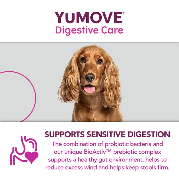 YuMOVE Digestive Care Dog Supplement Tablets 6 YuMOVE Digestive Care Dog Supplement Tablets - Image 4