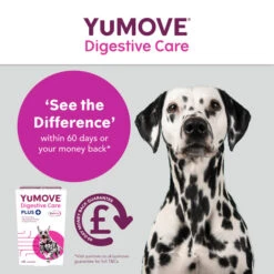 YuMOVE Digestive Care Plus Dog Supplement -Fuzzyard Shop I0047778 en 07