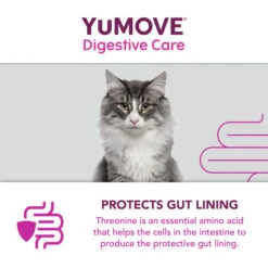 YuMOVE Digestive Care Plus Dog Supplement -Fuzzyard Shop I0047778 en 11