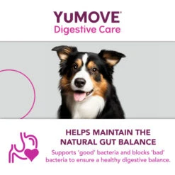 YuMOVE Digestive Care Plus Dog Supplement -Fuzzyard Shop I0047778 en 12