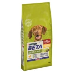 Purina Beta Adult 1+ Dry Dog Food - Chicken