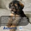 Adaptil Calm On-The-Go Puppy Dog Collar - Black -Fuzzyard Shop I9088880 en 06