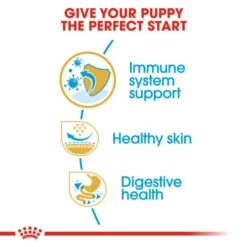 Royal Canin Pug Puppy Dog Dry Food -Fuzzyard Shop I9105886 en 05