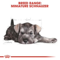 Royal Canin Breed Health Nutrition Schnauzer Puppy Dry Pet Food For Dog 16 Royal Canin Breed Health Nutrition Schnauzer Puppy Dry Pet Food For Dog -Fuzzyard Shop I9106028 en 07
