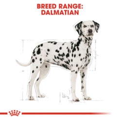 Royal Canin Dalmatian Adult Dog Dry Food -Fuzzyard Shop I9108890 en 04