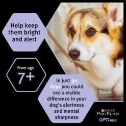 Purina Pro Plan OptiAge Medium And Large Adult 7+ Dry Dog Food - Chicken 16 Purina Pro Plan OptiAge Medium And Large Adult 7+ Dry Dog Food - Chicken -Fuzzyard Shop I9127283 en 04