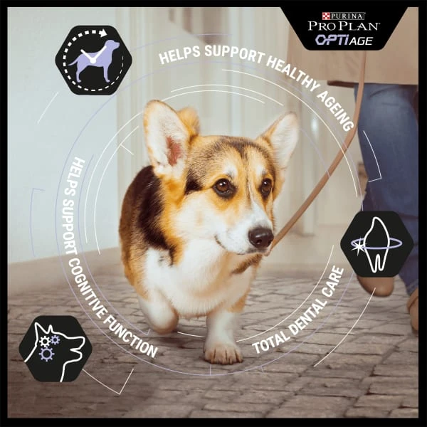 Purina Pro Plan OptiAge Medium And Large Adult 7+ Dry Dog Food - Chicken 7 Purina Pro Plan OptiAge Medium And Large Adult 7+ Dry Dog Food - Chicken - Image 5