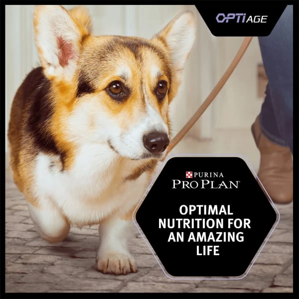 Purina Pro Plan OptiAge Medium And Large Adult 7+ Dry Dog Food - Chicken 3 Purina Pro Plan OptiAge Medium And Large Adult 7+ Dry Dog Food - Chicken