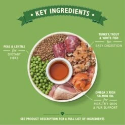 Lily's Kitchen Grain-free Senior Dry Dog Food - Turkey, Trout & White Fish -Fuzzyard Shop I9164279 en 05