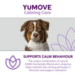 YuMOVE Calming Care Adult Dog Supplement Tablets -Fuzzyard Shop I9195277 en 11