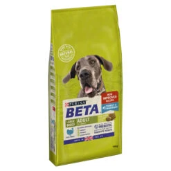 Purina Beta Large Adult 2+ Dry Dog Food - Turkey -Fuzzyard Shop I9270277 en 04