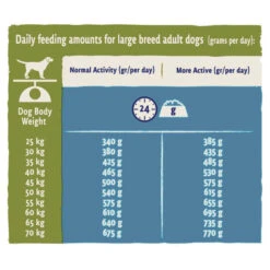 Purina Beta Large Adult 2+ Dry Dog Food - Turkey