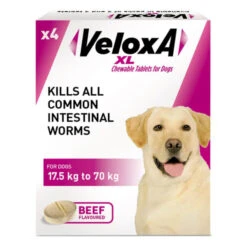 Veloxa XL Chewable Dog Tablets - Beef