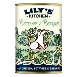 Lily's Kitchen Recovery Recipe Wet Dog Food - Chicken, Potatoes & Bananas