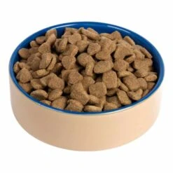 Chappie Adult Dry Dog Food - Chicken & Whole Grain Cereal
