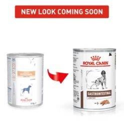 Royal Canin Gastrointestinal Low Fat Adult Wet Dog Food - Loaf 16 Royal Canin Gastrointestinal Low Fat Adult Wet Dog Food - Loaf -Fuzzyard Shop I9499295 en 01