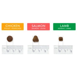 Canine Choice Super Premium Grain-free Small Adult Dry Dog Food - Salmon -Fuzzyard Shop I9499359 en 04