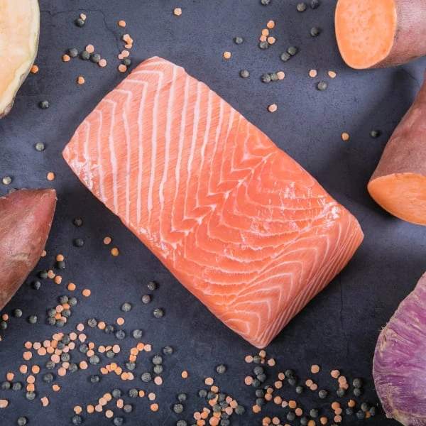 Bob And Lush Hypoallergenic Grain-free Adult Dry Dog Food – Light And Tasty - Scrumptious Salmon In Olive Oil 5 Bob And Lush Hypoallergenic Grain-free Adult Dry Dog Food – Light And Tasty - Scrumptious Salmon In Olive Oil - Image 3