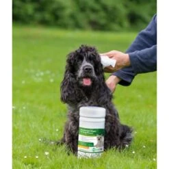 Aqueos Disinfectant Dog Wipes