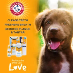 Arm & Hammer Dog Dental Kit -Fuzzyard Shop I9520462 05