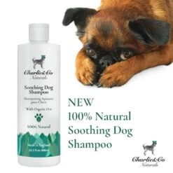 Charlie & Co Naturals Soothing Shampoo For Dogs - Organic Oat -Fuzzyard Shop I9520787 01