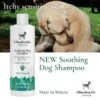 Charlie & Co Naturals Soothing Shampoo For Dogs - Organic Oat -Fuzzyard Shop I9520787 03