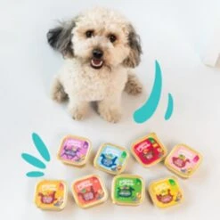 Edgard & Cooper Grain-free Adult Wet Dog Food - Game & Duck -Fuzzyard Shop I9520997 01