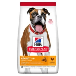 Hill's Science Plan Light Medium Adult Dry Dog Food - Chicken -Fuzzyard Shop I9521492