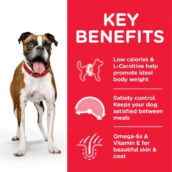 Hill's Science Plan Light Medium Adult Dry Dog Food - Chicken -Fuzzyard Shop I9521492 02