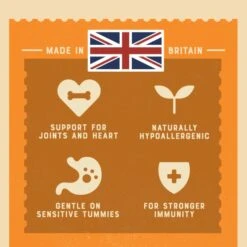 James Wellbeloved Gluten-free Small Senior Dry Dog Food - Turkey & Rice -Fuzzyard Shop I9521702 en 05