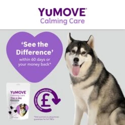 YuMOVE One-A-Day Calming Care Supplement For Large Dogs -Fuzzyard Shop I9521908 en 04